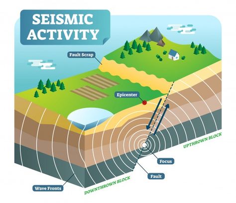 Seismic activity isometric vector illust... | Premium Vector #Freepik #vector #map #waves #nature #earth Geography Revision, Elementary Worksheets, Seismic Wave, Geography Map, Plant Tissue, Plate Tectonics, Diagram Design, Electrical Safety, Free Vector Graphics