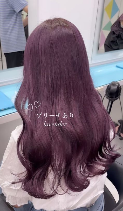 Hair Color Ideas Light Purple, Violet Tinted Hair, Plum Clothes Aesthetic, Korean Lavender Hair, Dark Lavender Hair Color, Light Plum Hair Color, Purple On Light Brown Hair, Dark Muted Pink Hair, Light Purple Brown Hair