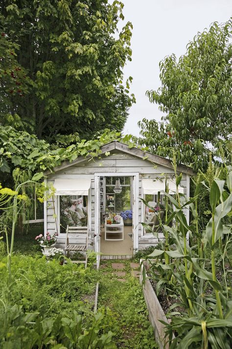 As a wedding gift one husband transformed a neglected potting shed into a greenhouse "she shed" with a tempered-glass roof. Shabby Chic She Shed, Cottage Backyard, Shed Makeover, Storage Shed Plans, Potting Sheds, She Sheds, Traditional Garden, Shed Design, Building A Shed