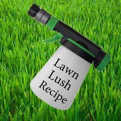 Grub Worms, Lush Recipes, Lawn Repair, Lawn Food, Diy Lawn, Lawn Fertilizer, Aerate Lawn, Lawn Care Tips, Lush Lawn