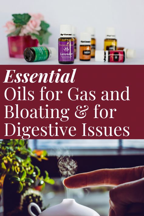 5 Great Essential Oils for Gas and Bloating & as Digestive Aid | Sirasclicks Essential Oils For Gas, Getting Rid Of Gas, Digestive Aid, Diy Medicine, Thyme Essential Oil, Bloated Stomach, Ginger Oil, Sage Oil, Stomach Issues