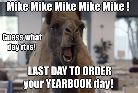 Yearbook memes. Yearbook Memes, Hump Day, Yearbook, You Never, Camel, Internet, Energy, Tumblr, Memes