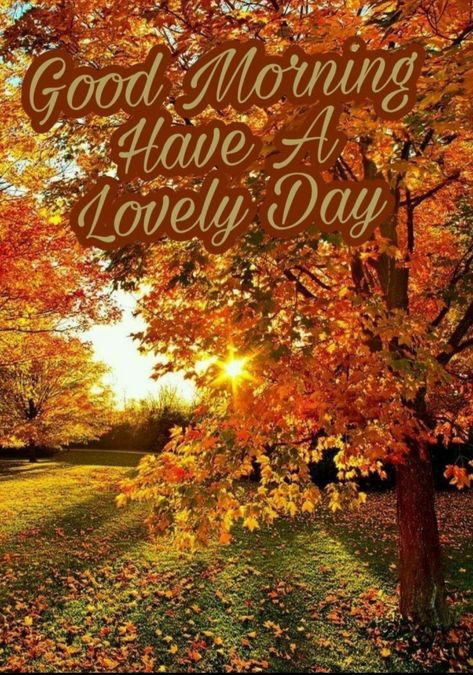 Autumn Good Morning, Weekly Blessings, Morning Autumn, Autumn Greetings, Inspirational Good Morning Messages, Good Morning Funny Pictures, Cute Good Morning Images, Good Morning Spiritual Quotes, Fall Morning