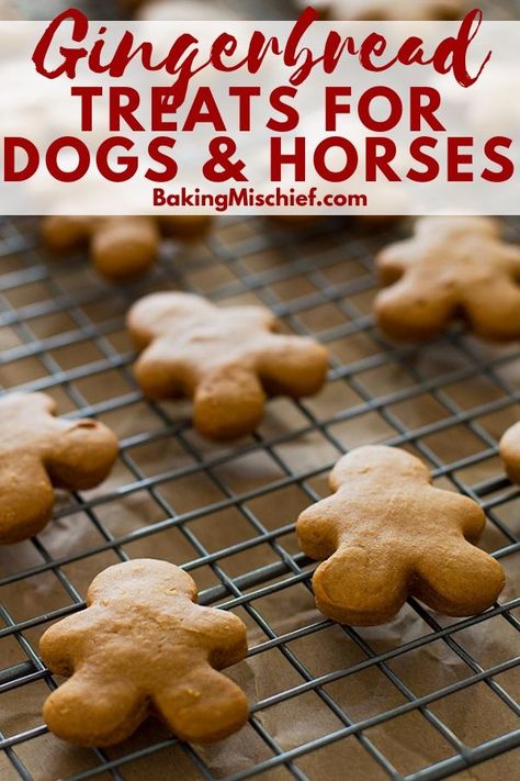 These Horse and Dog Gingerbread Treats are so fun and easy to make and the perfect way to show your pets you care this Christmas! | Dog Treats | Horse Treats | pet gifts | Gingerbread Treats, Baking Mischief, Homemade Horse Treats, Dog Cookie Recipes, Homemade Pet Treats, Dog Cake Recipes, Horse And Dog, Pet Treats Recipes, Easy Gingerbread