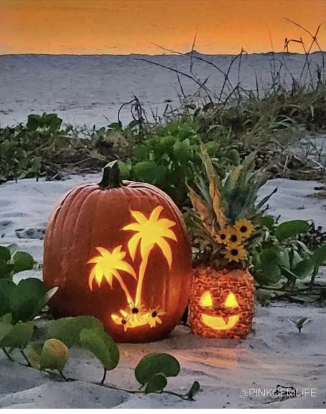 Beach Screensaver, Halloween Camping, Coastal Fall, Fall Fun Food, Halloween Wallpaper Backgrounds, Iphone Wallpaper Landscape, Thanksgiving Wallpaper, Harvest Thanksgiving, Siesta Key