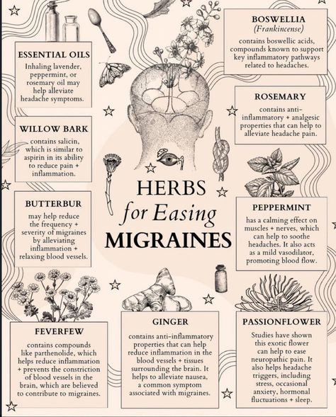 Fred’s Farm | Herbs (@FredDiBiase247) on X Herbs For Headaches, Nerve Pain Remedies, Natural Remedies For Migraines, Pain Relief Remedies, Nerve Pain Relief, Family Calendar, Migraine Relief, How To Relieve Headaches, Tension Headache