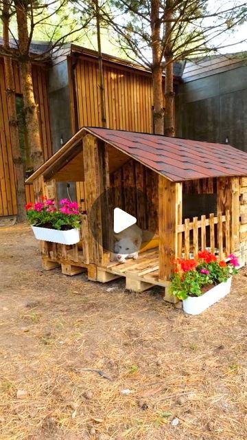 Wood Dog House Outdoor, How To Build A Dog House Out Of Pallets, Dog House From Pallets Diy, Doghouse Diy Outdoor, A Frame Dog House, How To Build A Dog House, Pallet Dog House Outdoor, Dog Houses Diy, Dogs House Ideas Outdoor