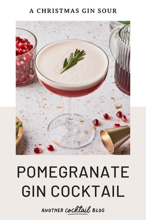 Pomegranate Rosemary Gin Fizz, Gin Sour Cocktail Recipes, Pomegranate Sour, Plum Gin, Thanksgiving Sangria, Pomegranate Gin, Pomegranate Cocktails, Tart Flavors, Simple Syrup Cocktails