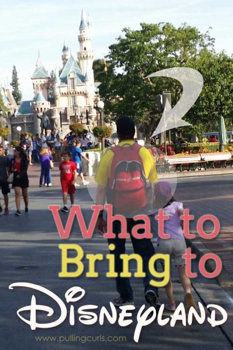 Disneyland Bag Essentials, Fccla Shirts, Disneyland In December, What To Bring To Disneyland, Disneyland Recipes, Disneyland 2024, Fun Vacations, Disneyland Vacation Planning, Disneyland Holidays