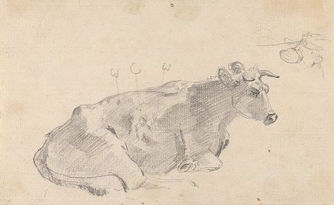 Cow Laying Down Drawing, Cow Lying Down, Cow Laying Down, A Cow, British Art, Art References, Wikimedia Commons, Drawing Reference, Animal Drawings