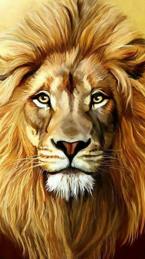 Lion Painting Acrylic, Lukisan Haiwan, Lion Sketch, Lion Artwork, Lion Drawing, Beautiful Lion, Lion Wallpaper, Lion Painting, Lion Images