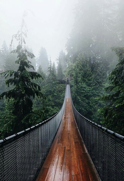 Vancouver, Canada -- Capilano Suspension Bridge Suspension Bridge Vancouver, Capilano Suspension Bridge, Scenery Background, Leyte, Nature Hikes, Suspension Bridge, Conde Nast Traveler, Vacation Places, Pretty Places