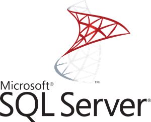 Microsoft Sql Server, Database Management System, Data Warehouse, Relational Database, Sql Server, Windows Server, Data Recovery, Business Intelligence, Web Application