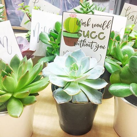 Tell your teacher BFF that you love them with this free succulent gift tag "Work would succ without you!" Staff Appreciation Gifts, Coffee Gift Basket, Succulent Gift, Giving Gifts, Staff Gifts, Employee Appreciation Gifts, Succulent Gifts, Staff Appreciation, Work Gifts