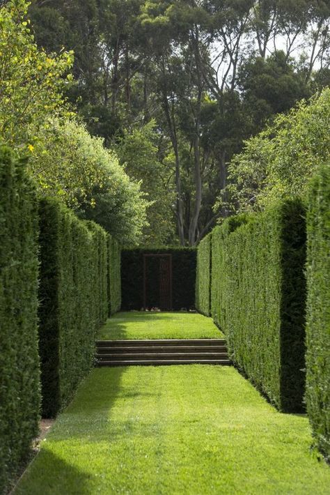 Garden | Landscaping Peter Fudge, Grass Path, Formal Garden Design, Garden Hedges, Formal Garden, Have Inspiration, Formal Gardens, Green Garden, Modern Garden