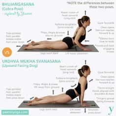 Yogi Style, Cobra Pose Yoga, Fitness Calisthenics, Hata Yoga, Ashtanga Vinyasa Yoga, Upward Facing Dog, Latihan Yoga, Yoga Tutorial, Cobra Pose