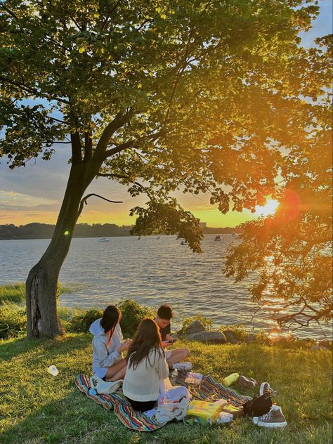 Nature, Picnic Sunset, Cozy Room Ideas, Whimsy Goth Bedroom, Woman Bedroom Ideas, Grown Woman Bedroom Ideas, Room Ideas For Men, Room Ideas For Men Bedroom, Men Bedroom