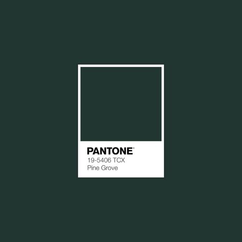 Download Free Adobe Illustrator Palette in .ase • #pantone #pantonegreen #pantonetrends #colortrend #fallcolors #autumncolor • Weathered Teak, Toasted Almond, Sagebrush Green, Russet Orange, Pine Groove, Pantone Palette, Pantone Color, Pantone, Color Trend, Color Scheme, Color Palette • Pantone Verde, Pantone Green, Pantone Swatches, Pantone Palette, Pantone Colour Palettes, Orange Color Palettes, Green Colour Palette, Fall Color Palette, Hus Inspiration