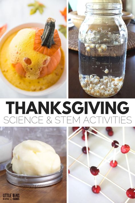 Simple and fun to do Thanksgiving science activities and experiments along with Thanksgiving theme STEM challenges the kids will love. Thanksgiving Science Activities, Science Activities For Elementary, Thanksgiving Science, Thanksgiving Stem Activities, Homeschool Thanksgiving, Corn Thanksgiving, Classroom Thanksgiving, Thanksgiving Stem, Pumpkin Lessons