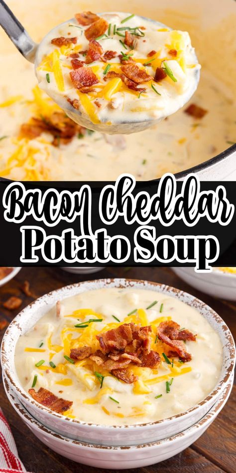 Cheesy bacon cheddar soup is made with only a few flavorful ingredients, is thick, creamy, and ready in under an hour! Top with bacon, chives, and cheese for extra richness! Cheddar Bacon Potato Soup, Cheddar Potato Soup, Bacon Cheese Potatoes, Potato Cheddar Soup, Bacon Soup Recipes, Cheesy Bacon Potatoes, Cheddar Cheese Recipes, Bacon Chowder, Potato Bacon Soup