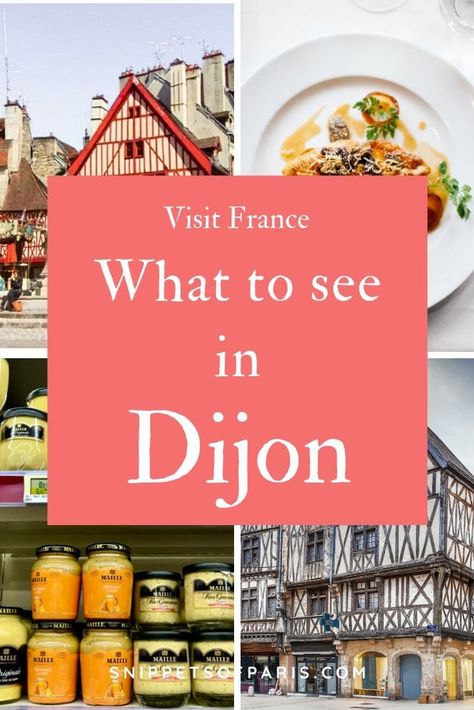 There is not much to see when visiting Dijon, and that is a compliment. Instead, soak up the atmosphere and the wine of this charming small French town.    Things to do in France | France Travel Guides | France travel destinations  | places to see in France |  Getting around France | Bourgogne travel | France travel tips | Burgundy travel ideas | What to do in Dijon | Things to do | Where to stay in Dijon | Amazing places in France | #france #europe #travel Dijon France City, Burgundy France Travel, Champagne Region France, France Roadtrip, Things To Do In France, Traveling France, Places In France, D Day Beach, Dijon France