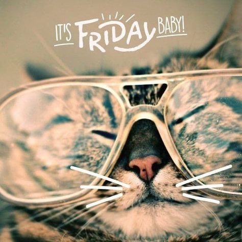 Good Morning Happy Friday Quotes, Friday The 13th Quotes, Happy Friday Gif, Friday The 13th Funny, Friday Graphic, Friday The 13th Memes, Friday The 13th Poster, Friday Football, That Friday Feeling