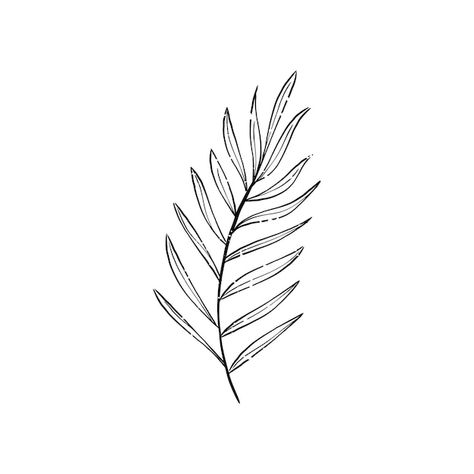 Free vector illustration of plant | Free Vector #Freepik #freevector #nature-sketch #leaves-sketch #leaf-drawing #black-white-illustration Deep Tattoo, Leaves Sketch, Church Altar, Black And White Leaves, Daisy Tattoo, Free Illustration Images, Plant Tattoo, Leaf Illustration, Plant Vector