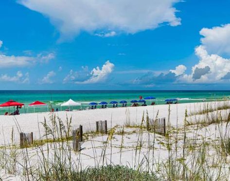 Washington State Forest, Grayton Beach State Park, Santa Rosa Beach Florida, 30a Beach, Luxury Beach House, Panama City Beach Fl, Florida Photography, Family Vacation Destinations, I Love The Beach