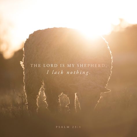 THE LORD is my Shepherd [to feed, guide, and shield me], I shall not lack. He makes me lie down in [fresh, tender] green pastures; He leads me beside the still and restful waters. [Rev. 7:17.] He refr He Leadeth Me, Beside Still Waters, Psalm 23 1, Green Pastures, The Lord Is My Shepherd, Youversion Bible, Bible Challenge, Psalm 23, Daily Bible