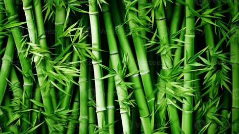 Green bamboo texture. Bamboo forest. Green grass in the sunshine. Bamboo tree leaf, plant stem. AI generated. Bamboo Background, Bamboo Texture, Green Bamboo, Leaf Plant, Bamboo Tree, Tree Saw, Bamboo Forest, Plant Stem, Heart Tree