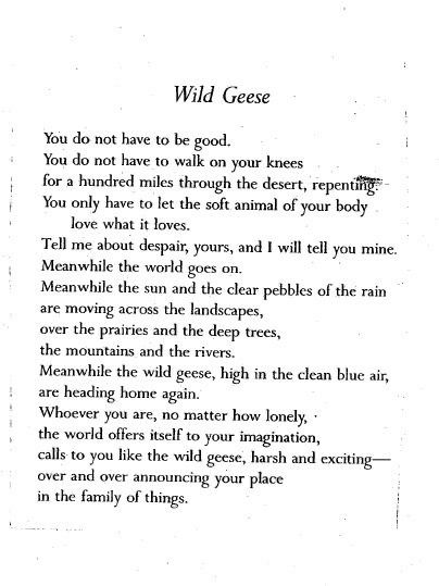 Wild Geese Mary Oliver, Corny Quotes, Mary Oliver Quotes, The Hunger Games Books, Wild Geese, Hunger Games Books, Mary Oliver, Poems Beautiful, Katniss Everdeen