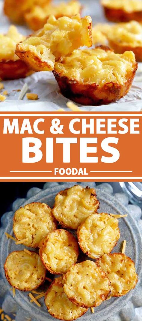 Get all the comfort food vibes of your favorite mac and cheese dinner in a handheld bite! We bake our mini mac and cheese bites in a muffin tin until they’re crispy on the outside and gooey on the inside. They’re a fun appetizer for adults, and a cool meal for kids. Read more. #macandcheese #fingerfood #foodal Mini Mac And Cheese Bites, Mini Mac And Cheese, Mini Muffin Tin Recipes, Mac And Cheese Muffins, Mac N Cheese Bites, Muffin Pan Recipes, Cheese Bites Recipe, Mac And Cheese Cups, Mac And Cheese Bites