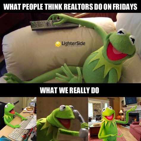 Funny, I didn't know frogs could get licensed... #realestatehumor #realestatecartoon Fuquay Varina Nc, National Margarita Day, Real Estate Memes, Real Estate Information, Friday Humor, Texas Real Estate, Orange Beach, Real Estate Broker, Living Room Inspo