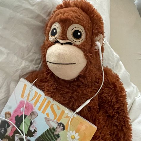 monkey, plushie, ikea aesthetic Ikea Orangutan, Stuffed Animals Aesthetic, Aesthetic Monkey, Monkey Teddy, Ikea Aesthetic, Ikea Monkey, Monkey Pose, Monkey Teddy Bear, Monkey Cute