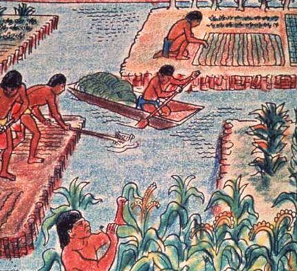 How did the Aztecs get their food? Sustainable farming in Aztec times | Geo-Mexico, the geography of Mexico Aztec Civilization, The Aztecs, Floating Garden, Aztec Culture, Indigenous Americans, Sustainable Farming, Native American History, Permaculture, The Mighty