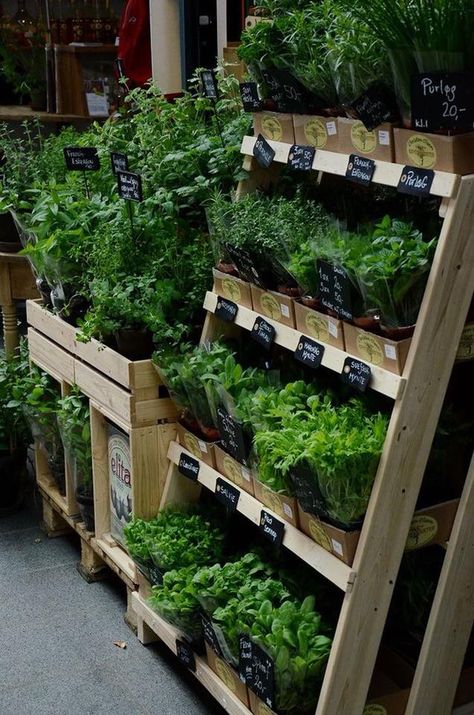 Huge herb stall and chilli plants Farm Market Ideas, Garden Center Displays, Farmers Market Display, Vegetable Shop, Fruit Shop, Market Garden, Market Displays, Farm Market, Local Farmers Market