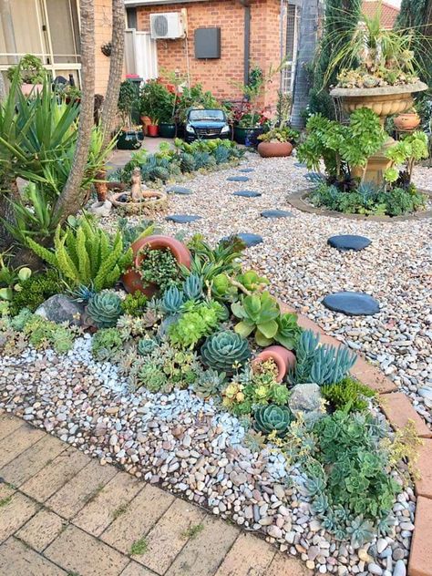 Succulents And Rocks Landscaping, Front Yard Landscaping With Succulents And Rocks, Rockery Border Ideas, Grass And Succulent Garden, Front Yard Rock Garden Landscaping, Small Yard Landscaping Low Maintenance, Backyard Garden Seating, Succulent And Rock Landscaping, Cacti Rock Garden