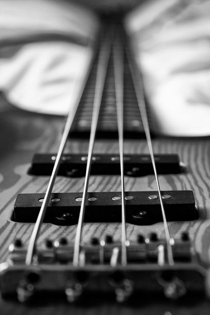 Bass | A B&W conversion from the Bass guitar collection. Sel… | Flickr Bass Guitar Aesthetic, Wallpaper Guitar, Guitar Aesthetic, Musician Photography, Guitar Photos, Guitar Photography, Guitar Girl, Guitar Collection, Music Backgrounds