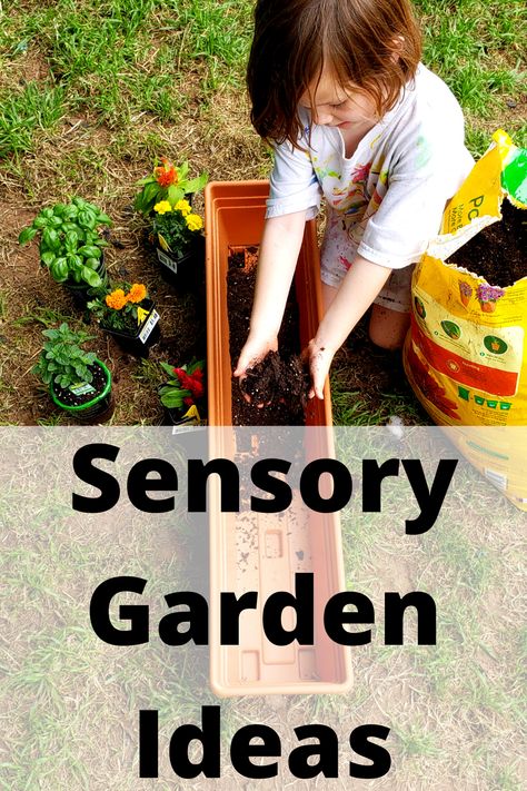 Children’s Garden, Sensory Garden For Kids, Sensory Garden Design, Sensory Garden Ideas, Outdoor Sensory Play, Mud Kitchen Ideas, Montessori Garden, Class Garden, Garden Sensory