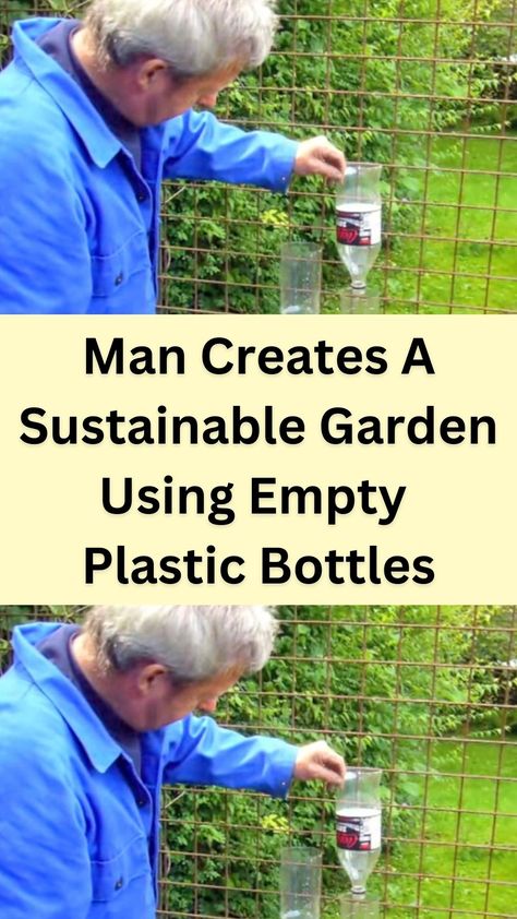 Willem Van Cotthem is a creative man who came up with a highly effective and sustainable idea that can help any household. Using large plastic bottles, Willem built a garden in his yard that is environmentally friendly. More importantly, it’s simple and cheap!

With an empty fence, Willem and his team began stacking old plastic bottles along the edge of the fence. While doing this, they also planted seeds every few bottles. Using Plastic Bottles In The Garden, Laundry Detergent Bottles, Juice Jar, Empty Plastic Bottles, Plants In Bottles, Detergent Bottles, Tower Garden, Bottle Garden, Sustainable Garden