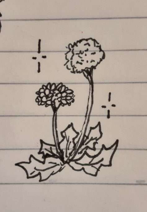 Nature Cute Drawings, Tiny Doodles Aesthetic, Pretty Doodles Aesthetic, Notebook Drawings Doodles Sketches, Doodle Drawings Flowers, Goblincore Doodles, Plant Doodles Simple, Simple Flower Aesthetic, Dandelion Doodle