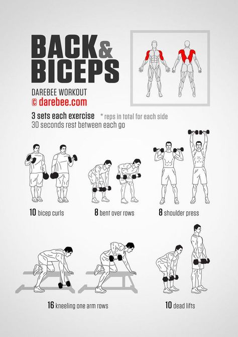 Some upper body and arms workouts - Back And Bicep Workout, Perut Six Pack, Traps Workout, Fitness Studio Training, Latihan Dada, Trening Sztuk Walki, Gym Antrenmanları, Latihan Kardio, Arm Workout Women