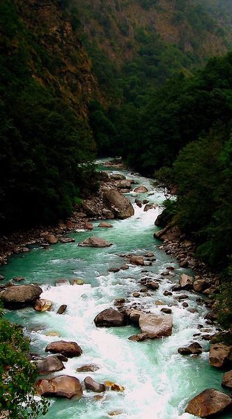 looks like a dream Image Nature, River Valley, Green Trees, Pretty Places, Nature Beauty, Beautiful World, Pretty Pictures, Beautiful Landscapes, Wonders Of The World