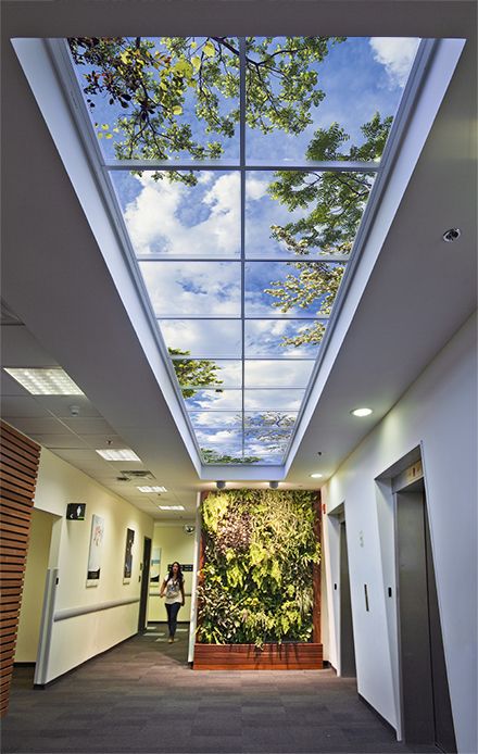 Illuminated Ceiling, Biophilia Design, Plants Indoor Design, Sky Ceiling, Interior Kantor, Fake Window, Ceiling Murals, Hospital Interior, Plafond Design