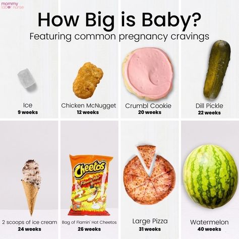 ⁠Forget fruit... here's more realistic size chart. 🤣⁠
⁠
Come join our @ibmoms community and become surrounded by inspirational mamas who support each other. ⁠
⁠
⁠
⁠
⁠#parentinglife #momlife #baby #momtips #babytips #motherhood #motherhoodrising #motherhoodjourney Pregnancy Cravings Food, Memes For Moms, Wife Memes, Cravings Food, Moms Funny, Labor Nurse, Pregnancy Cravings, Large Pizza, Cream Bags