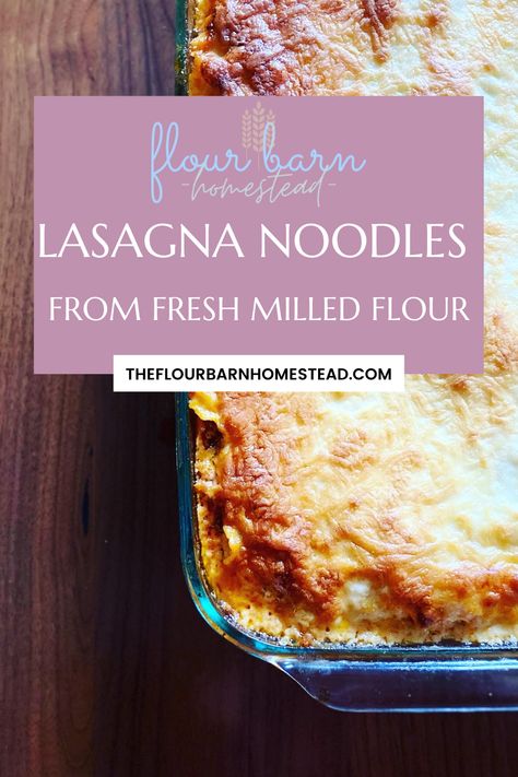 Tender and flavorful homemade lasagna noodles from fresh milled flour are easy to throw together and elevate your favorite dinner! Kid friendly dinners. Dinner ideas. Cooking from scratch. Homemade pasta. Homemade lasagna. Italian dinner ideas. Homestead recipes. Healthy dinner ideas. Baking with fresh flour. Grinding flour. Whole wheat flour. Baking with whole wheat flour. Easy dinner ideas. Cooking from scratch. Baking With Whole Wheat Flour, Fresh Milled Flour Recipes, Dinner Kid Friendly, Milling Flour, Italian Dinner Ideas, Recipes With Lasagna Noodles, Kid Friendly Dinners, Homemade Lasagna Noodles, Easy Homemade Lasagna