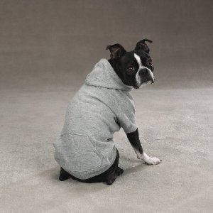 His belly gets really dirty and he gets super wet because we live in a raincloud. These hoodies--currently on sale on Amazon.com marked down from $17 to $9--would definitely help that. I can't find raincoats that are cheap and lined so far, so this may have to do. Gray Dog, Dog Vests, Denim Dog, Animal Sweatshirt, Loyal Dogs, Grey Dog, Guide Dog, Dog Sweatshirt, Dog Jacket