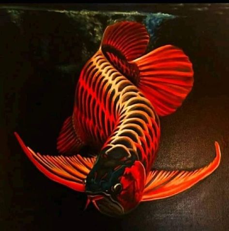 Arwana Super Red, Arowana Fish, Dragon Fish, Fish Artwork, Freshwater Aquarium Fish, Golden Red, Fish Wallpaper, Aquatic Animals, Freshwater Aquarium