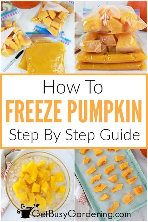 Trying to find a solution to this year’s pumpkin abundance? Freeze them! Cube, slice, or puree your pumpkin and store it in the freezer to enjoy nutritious and delicious fresh pumpkin all season long. You will learn what you will need to do this and the best methods as well. If you have been looking for how to preserve pumpkin this article is for you! Preserve Pumpkin, Can You Freeze Pumpkin, Freeze Pumpkin, Freezing Pumpkin, Pumpkin Seed Recipes Roasted, Cooking Healthy Dinner, Preserving Pumpkins, Drying Fresh Herbs, Frozen Pumpkin