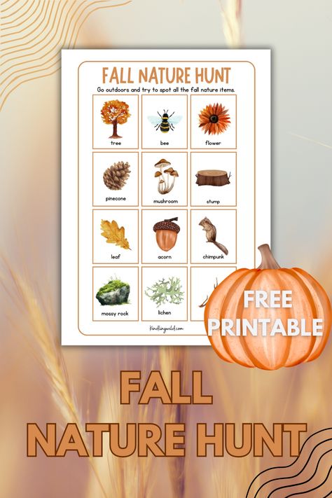 Free printable fall nature hunt in the woods. Homeschool or classroom activity. Nature Hunt For Kids, Homeschooling Printables, Nature Hunt, Autumn Leaves Background, Nature Fall, Activity Worksheet, Fall Nature, Fall Kindergarten, Bingo Cards Printable